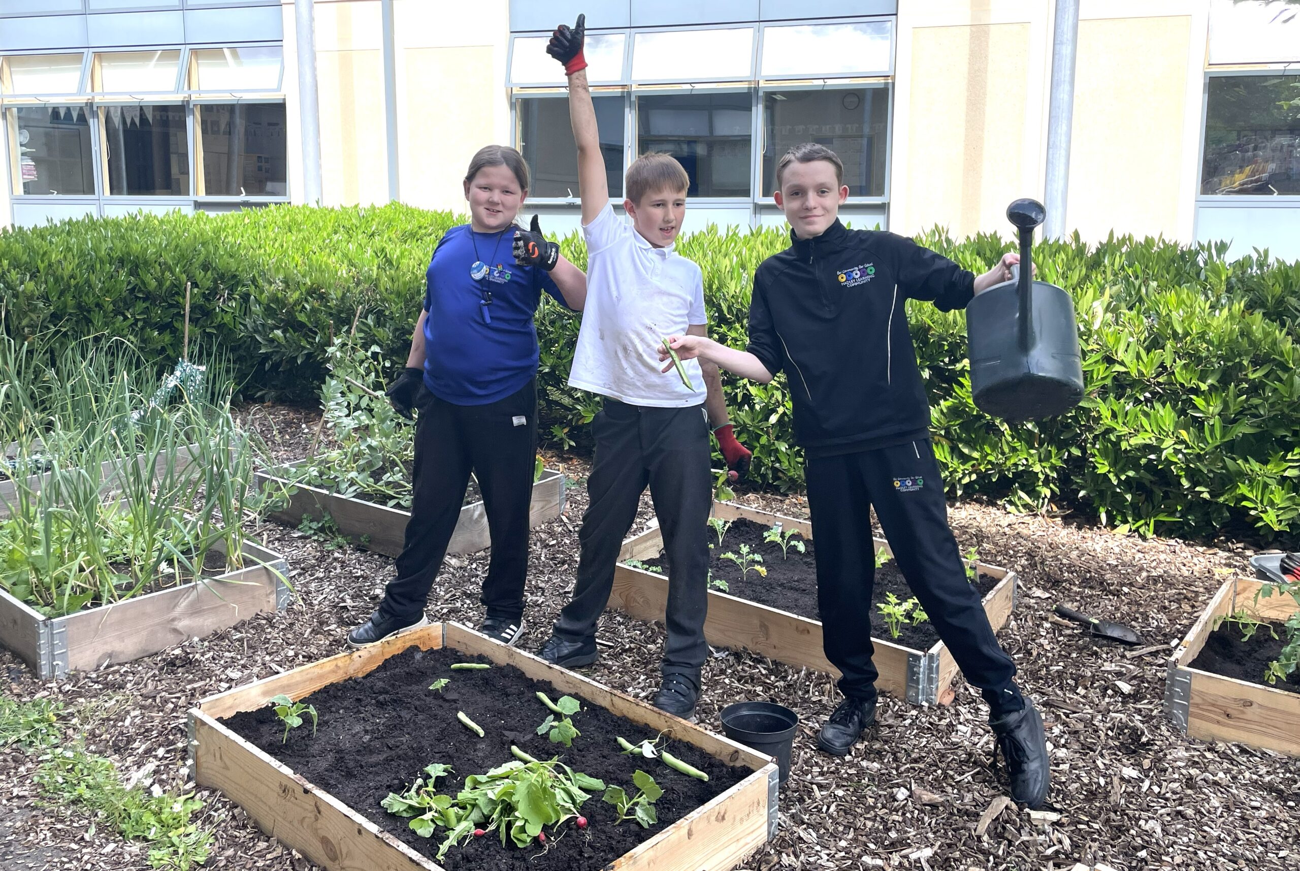 HLC students in the garden Brock Fewtrell, Harvey Juggins and Riley Harris